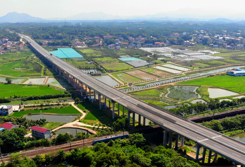 在线播放无码后入内射少妇